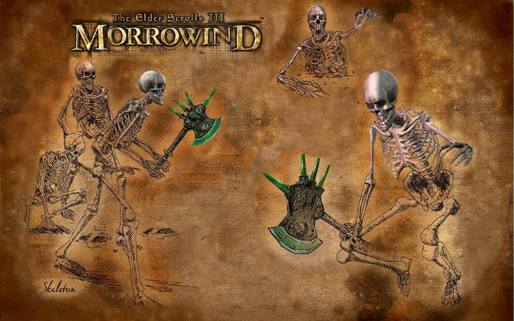 Morrowind Character Guide: Skeleton