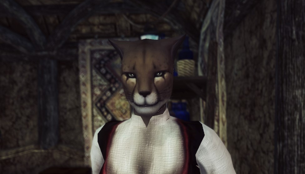 khajiit does not play these games