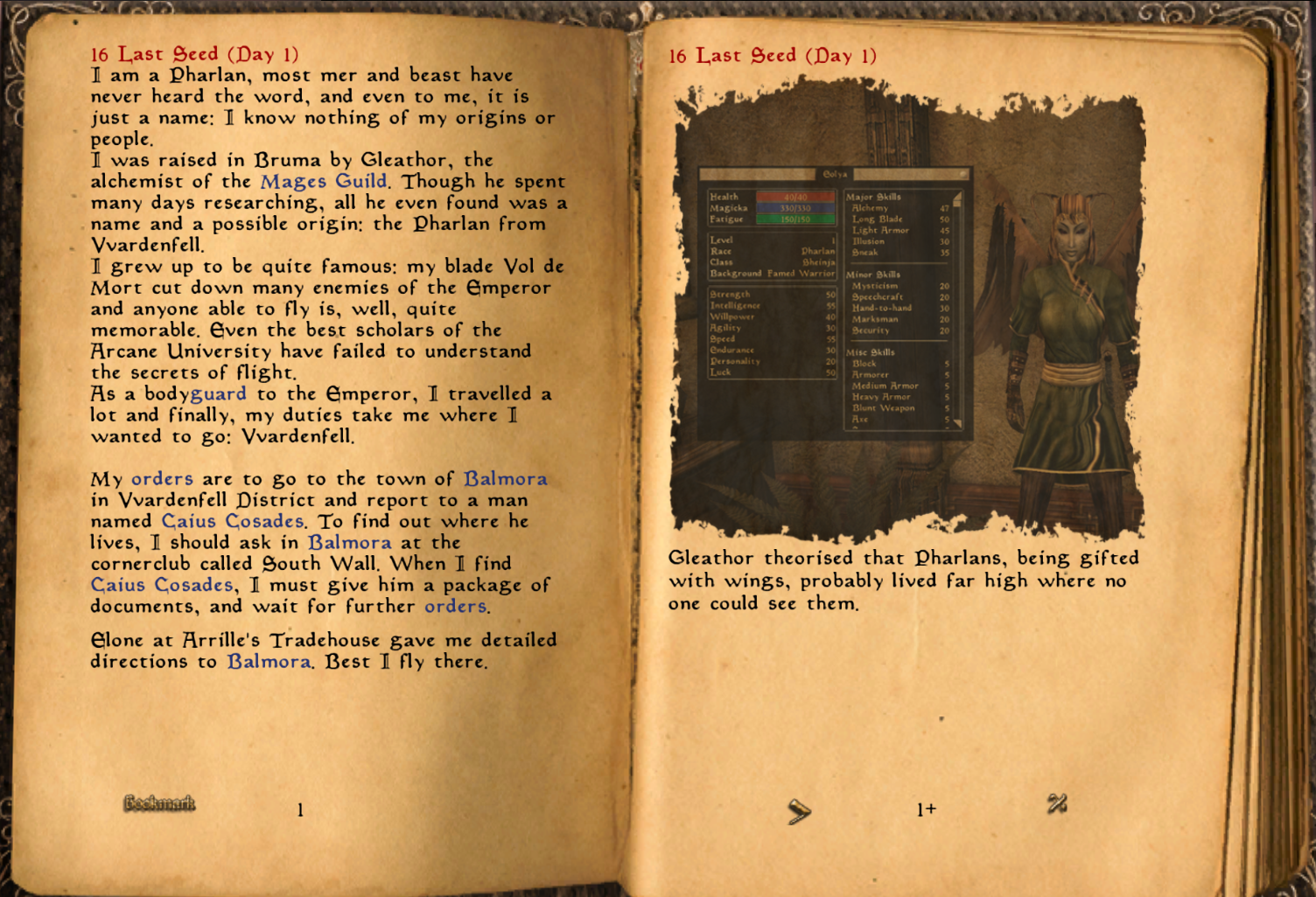 Morrowind: a journal adventure
